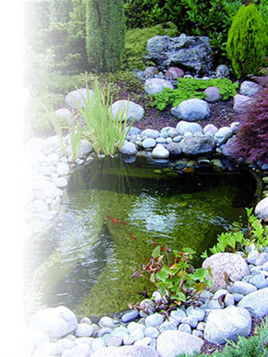 Bassin de Jardin Préformé CALMUS SII – Ubbink - Vente en ligne au meilleur  prix