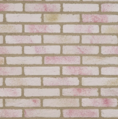 Plaquette Granulit Rouge  50cm x20cm x 6cm x 1,5cm Carton de 1 m2