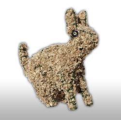 Sphaigne en sachet - 1 kg