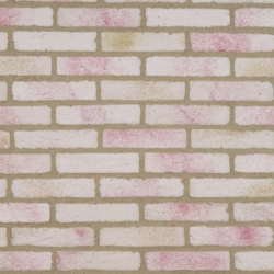 Plaquette Granulit Rouge  50cm x20cm x 6cm x 1,5cm Carton de 1 m2