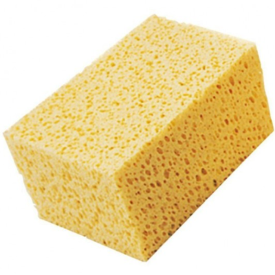 Eponge Synthétique Type Végétal Gm sous film