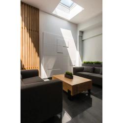 Fenêtre plane fixe pour toits plats DXG P2 avec marche blanche