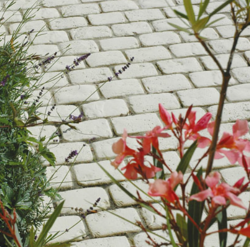 Pavés Chinon Bande 6 Pavés 102Cm x 12Cm x 2Cm